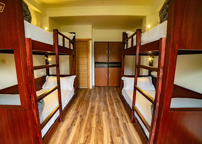 Alt Life - ManaliHostel